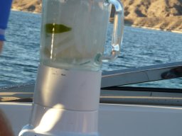 2010 Lake Mead